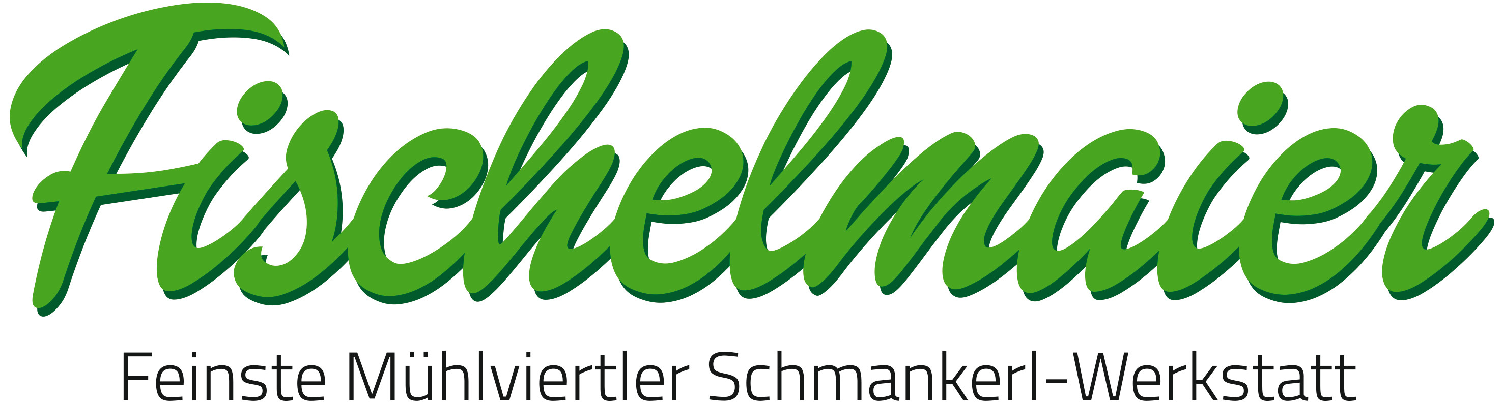 Logo Fischelmaier im .jpg-Format